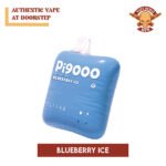 Blueberry ice