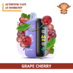 BEST ELFBAR RAYA D3 25000 PUFFS DISPOSABLE VAPE IN UAE - Image 5