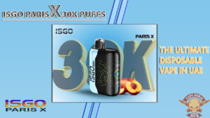 ISGO PARIS 30K-The Ultimate Disposable Vape in UAE-vapedubaihub
