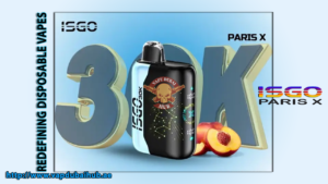 ISGO Paris X 30000 Puffs